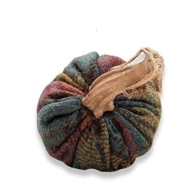 Ladys Bedstraw Tartan Pumpkin 3 pouces