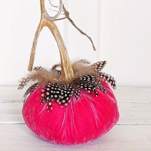 Raspberry Pumpkin with Guinea Feather Collar 6 Inch