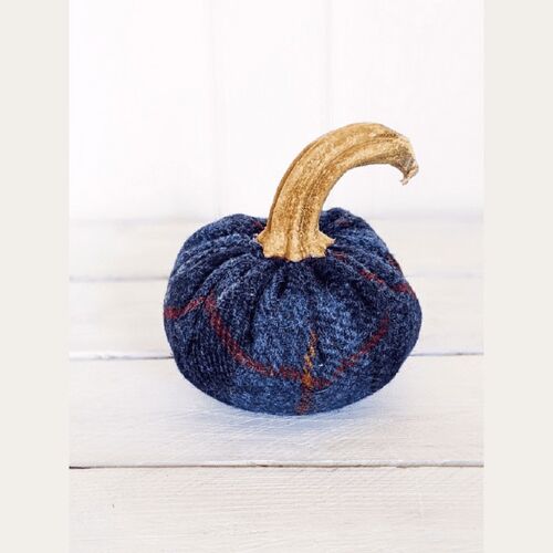 Devils Bit Tartan Pumpkin 4 Inch