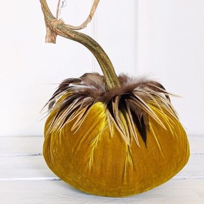 Curry Pumpkin with Hackle Feather Collar 6 Inch