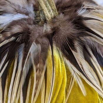 Citrouille au curry avec collier de plumes Hackle 8 pouces 2