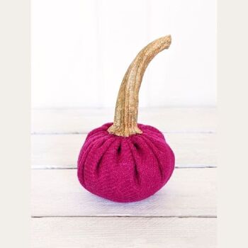 Citrouille magenta 3 pouces 1