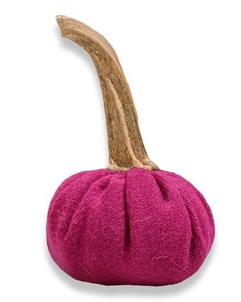 Citrouille magenta 3 pouces 5