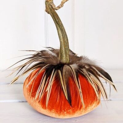 Zucca di rame con collo di piume Hackle 8 pollici