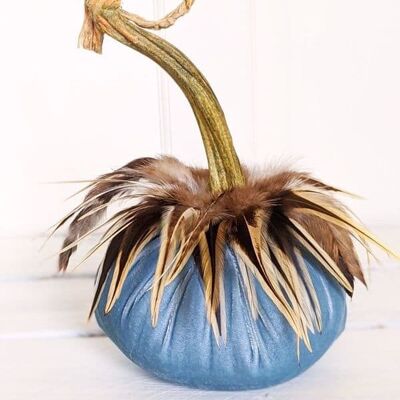Lagoon Pumpkin with Hackle Feather Collar 8 Inch