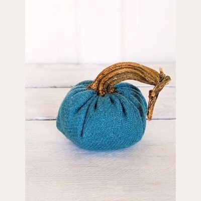 Teal Pumpkin 5 Inch (300-7243)