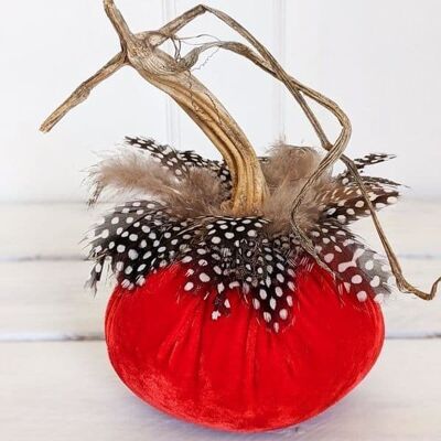 Redcurrant Pumpkin with Guinea Feather Collar 6 Inch