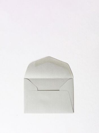 MINI CARTE + ENVELOPPE CAROTTE 2