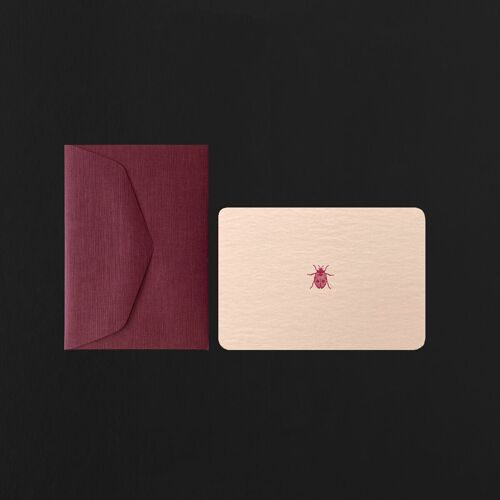 MINI CARTE + ENVELOPPE COCCINELLE