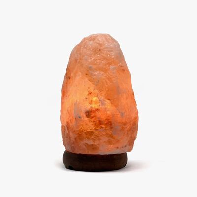 Lámpara de sal del Himalaya de cristal natural