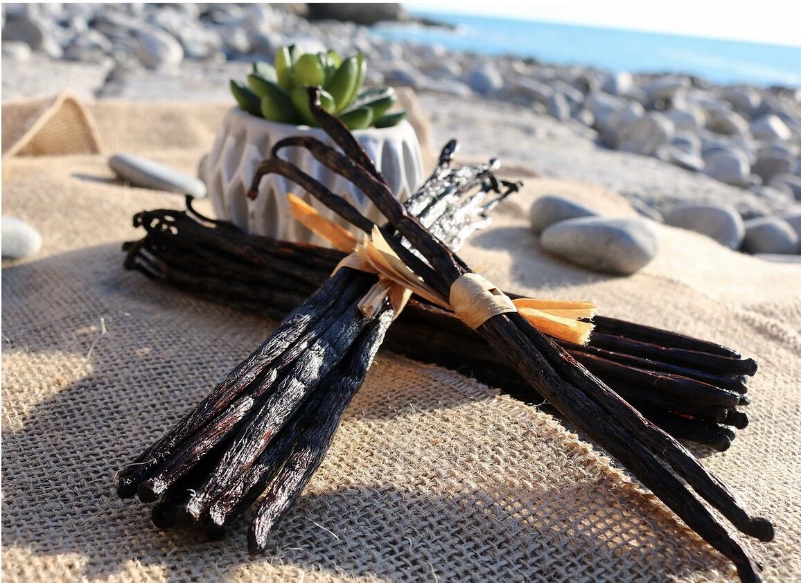 10 schwarze Gourmet-Vanilleschoten +18 cm - Matoy Selection