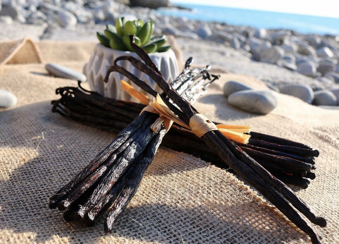 10 schwarze Gourmet-Vanilleschoten 14 bis 16 cm - Matoy Selection