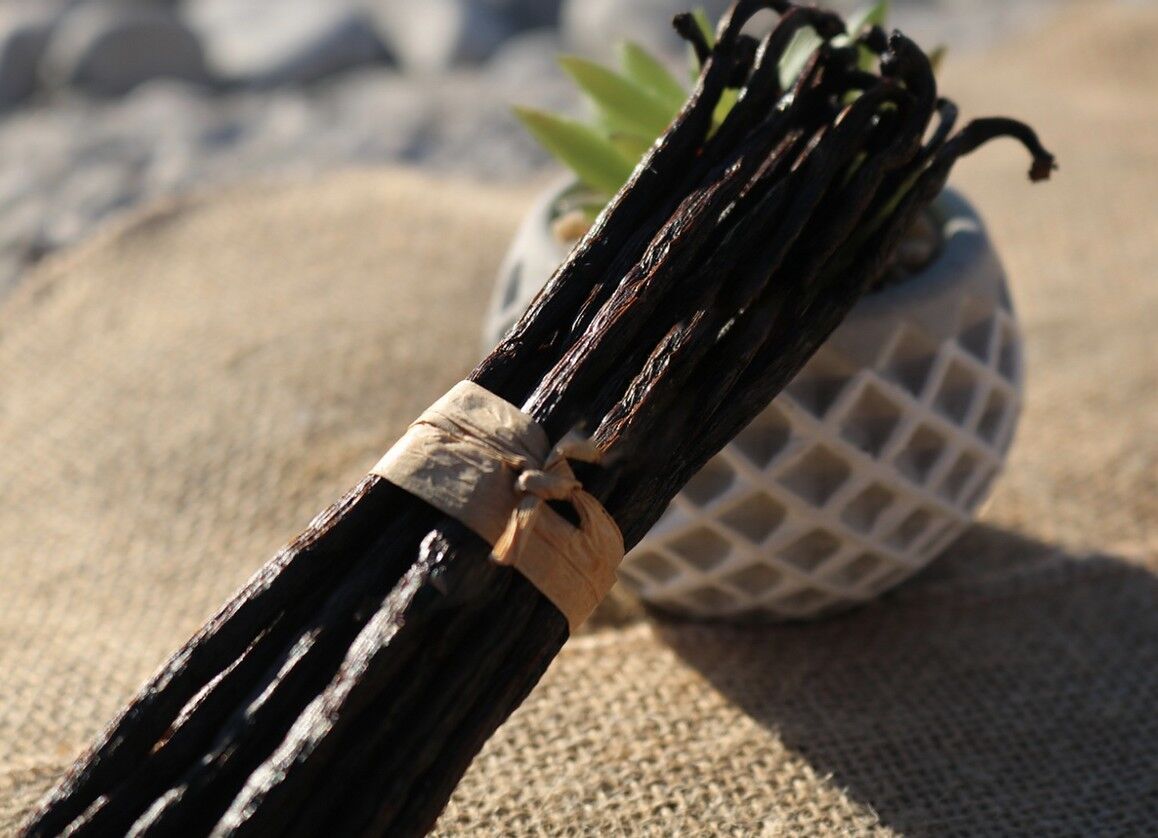 20 schwarze Gourmet-Vanilleschoten 14 bis 16 cm - Matoy Selection