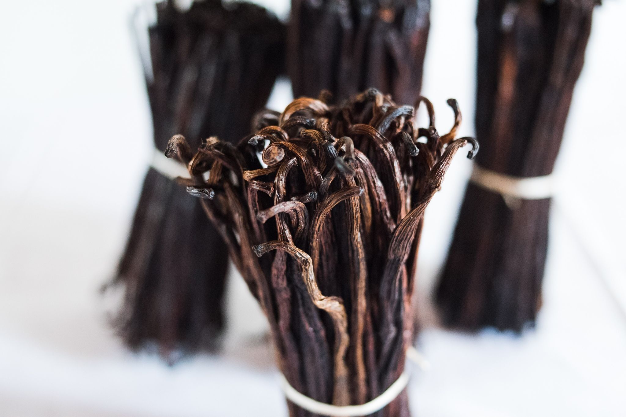 10 kurze Vanilleschoten 13 cm