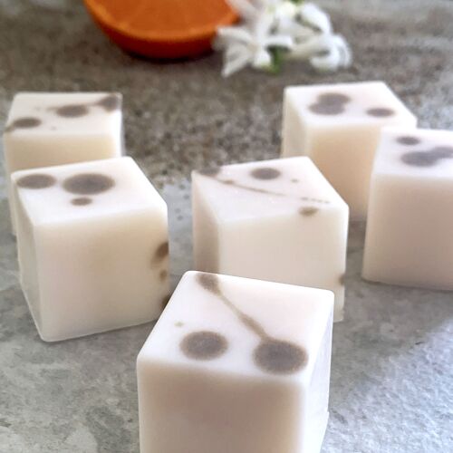 Sandstrand [Florals, Citrus & Vanilla] - wax melts