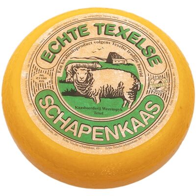 TXL young sheep's cheese - 10 kg.