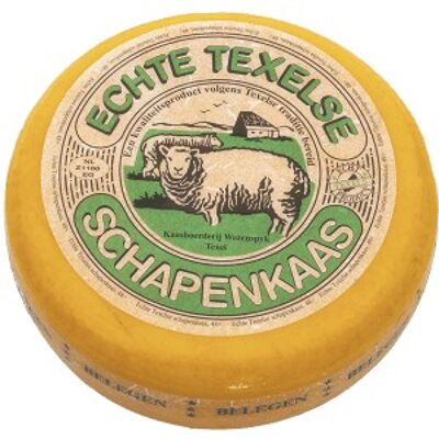 TXL mature sheep's cheese - 10 kg.