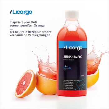 Shampooing concentré pour voiture LICARGO® - 750 ml 2