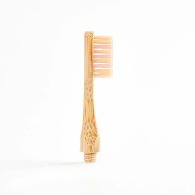 Hedgerow & Moor natural bamboo toothbrush replacement head.