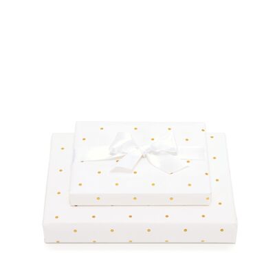 White And Small Dotted Gift Wrap