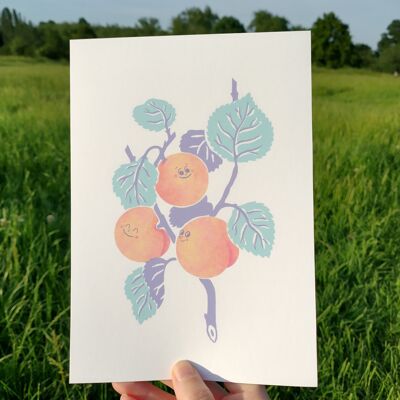 Peachy Fine Art Print (A5)