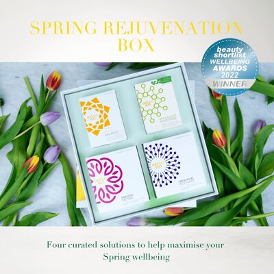 Spring Box - Compra única