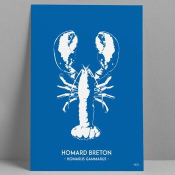 Affiche Homard Bleu 30x40 cm