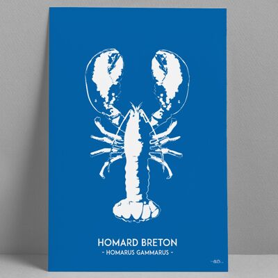 Blue Lobster poster 30x40 cm