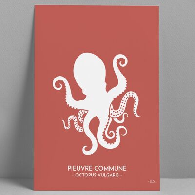 Octopus poster 30x40cm
