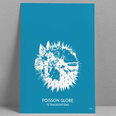 Affiche Poisson Globe 30x40cm