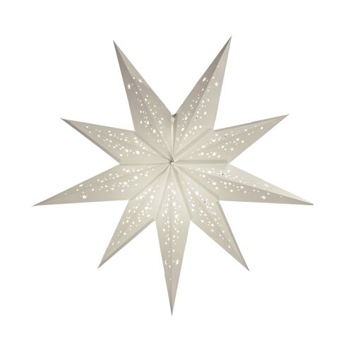 Paper Star Lantern - Prosecco