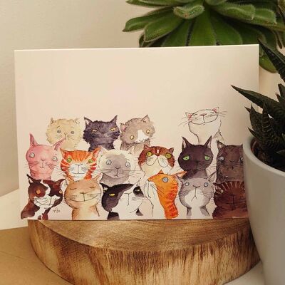 Cute Cat card, Funny Cat Birthday card, Crazy cat card, Card for Cat lovers