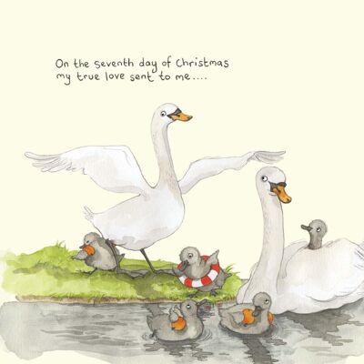 Seven swans a swimming Christmas card; Funny Christmas card; Humour; 7th day of Christmas card; Twelve days of Christmas; Illustration
