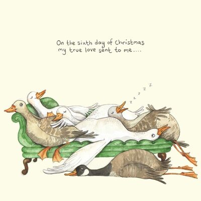 Six geese a laying Christmas card; Funny Christmas card; Humour; 6th day of Christmas card; Twelve days of Christmas; Illustration