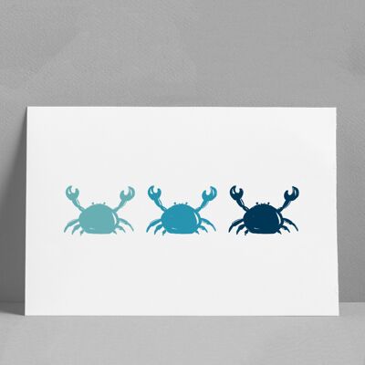 Poster 3 Crabs Format 30 * 40cm