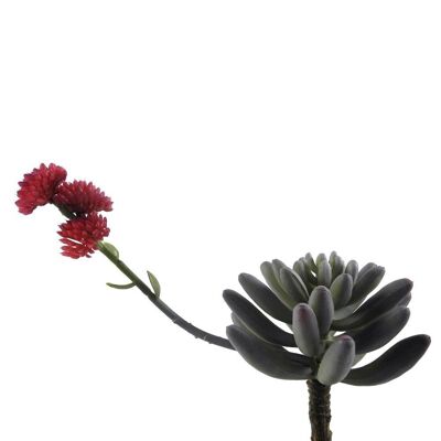 Suculenta 22cm - Flores artificiales