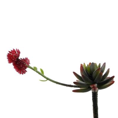 Suculenta 20cm - Flores artificiales
