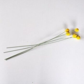 Craspedia jaune x 5 tiges - 104cm - Fleurs artificiels 6