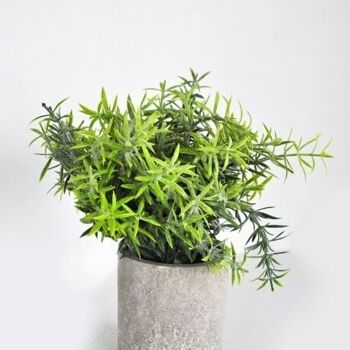 Destockage- 30% - Pot de feuillage vert artificiel - D23cm H18cm DECORATION DE RESTAURANT OU HOTEL 8