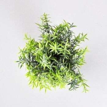 Destockage- 30% - Pot de feuillage vert artificiel - D23cm H18cm DECORATION DE RESTAURANT OU HOTEL 3