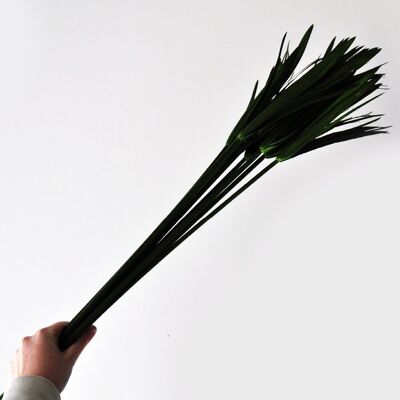 Beer Grass green - 50.5 cm - artificial plants