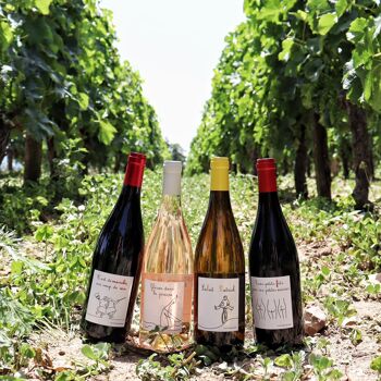 TROIS PETITS FUTS POUR SIX PETITES CAISSES 2020 - Vin rouge fruité et gourmand 5