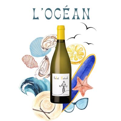 SALUT PATRICK 2024, Les contrepèteries Blanc Sec et fruité, Sauvignon blanc et gris