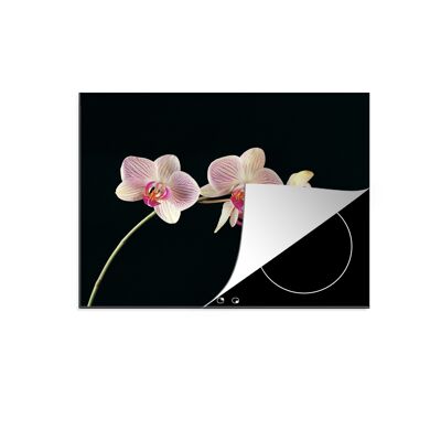 Inductiebeschermer - 60x52 cm - Orchidee tegen zwarte achtergrond