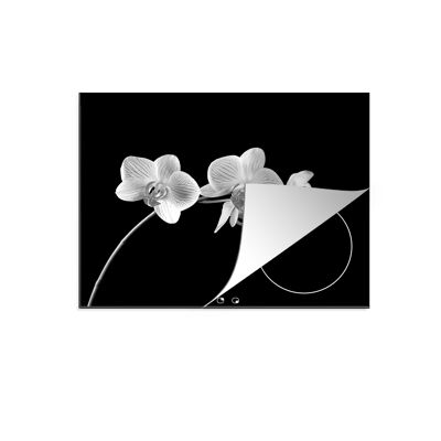Inductiebeschermer - 60x52 cm - Orchidee tegen zwarte achtergrond - zwart wit