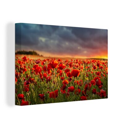 Canvas Schilderij - 120x80 cm - Zonsondergang - Klaprozen - Rood