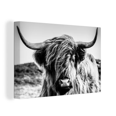 Canvas Schilderij - 60x40 cm - Koe - Schotse hooglander - Zwart - Wit