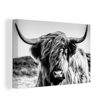 Canvas Schilderij - 140x90 cm - Koe - Schotse hooglander - Zwart - Wit
