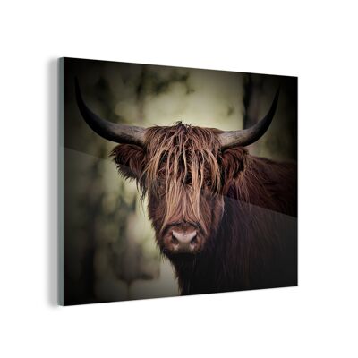 Glasschilderij - 160x120 cm - Schotse hooglander - Licht - Portret