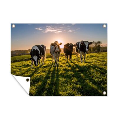 Tuinposter - 80x60 cm - Koe - Gras - Zon